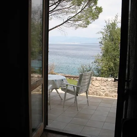 Maslina Вантачичи