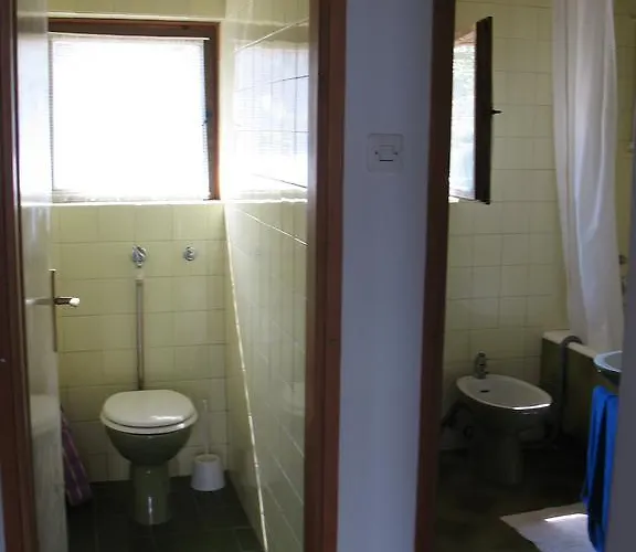 Maslina Вантачичи