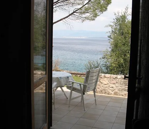 Maslina Вантачичи